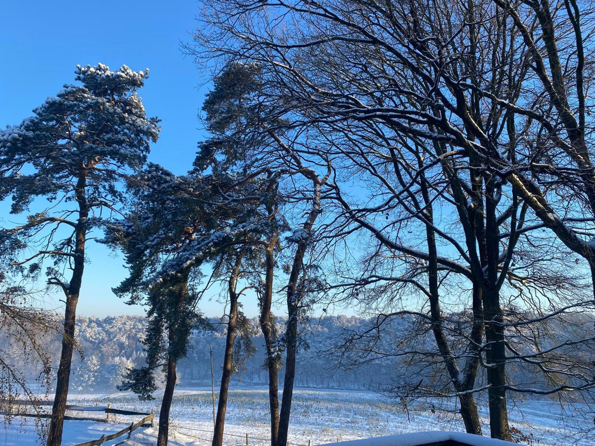 Le Goupil Otel Wavre Dış mekan fotoğraf